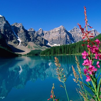 natureza-1.jpg